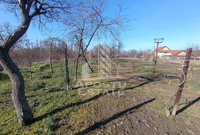 Casă cu 5 camere cu Teren 2158 Mp în Freidorf - 11