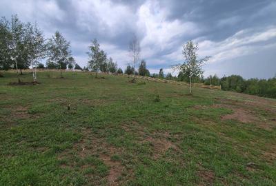 Spațiu comercial, în Glăjărie - 6