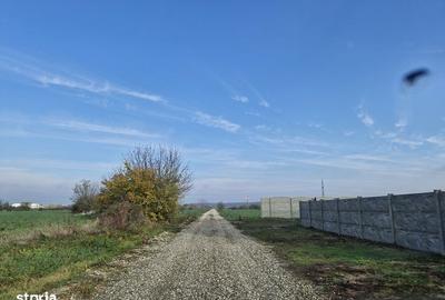 Spațiu comercial, în Balotești - 6