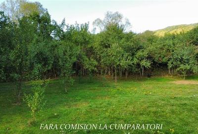 TEREN 1869 MP, CADRU NATURAL SUPERB, TOATE UTILITATILE - 9
