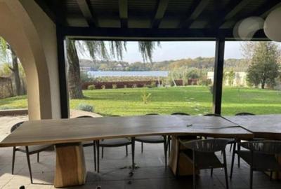 Vila cu piscina pe malul Lacului Snagov teren 2000mp - 7