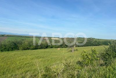 Teren de vanzare intravilan 8900mp Sura Mare zona deosebita - 7