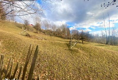 Teren de 1135 mp, în Valea Doftanei - 1