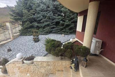 Casă individuală cu 6 camere în Bucium