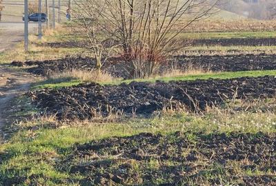 Teren de 6100 mp, în Stroiești - 2