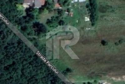 Teren intravilan_Padure_Palat Snagov