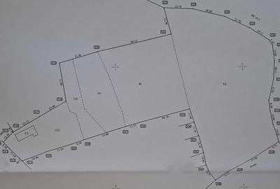 Casă cu 5 camere cu Teren 15000 Mp în Central - 10