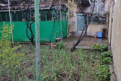 Casă cu 4 camere cu Canalizare în Coiciu - 3
