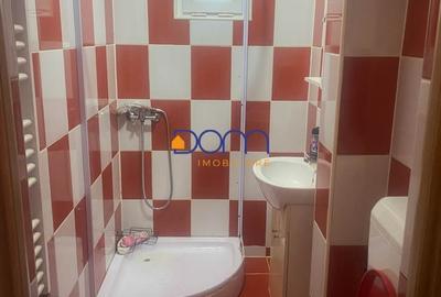 Apartament cu 3 camere decomandat în Caransebeș - 10