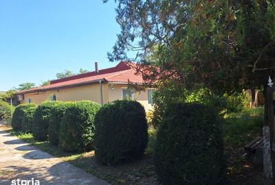 Casă cu 4 camere cu Teren 200 Mp în Reviga - 1