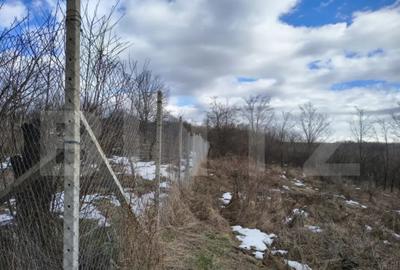 Teren în Păulești - 2