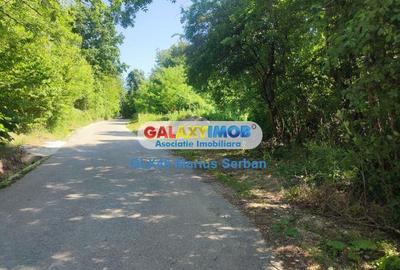 Teren Construcții intravilan de 2248 mp, în Răzvad - 16