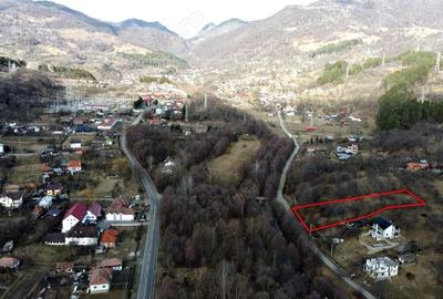 Teren de 2300 mp, în Căpățânenii Pământeni - 4