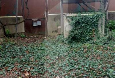 Blitz va ofera spre vanzare o casa cu teren generos in Cer Blitz va ofera spre vanzare o casa cu teren generos in Cer - 3