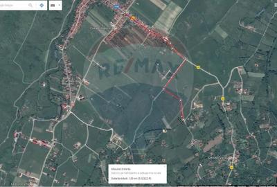 Teren de 6900 mp, în Bran - 11