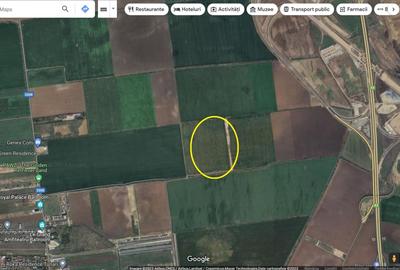 Teren 11.800 mp Tunari TARLAUA 24N - 3