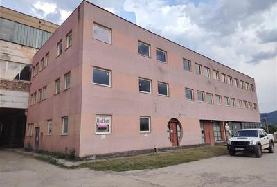 Cladire industriala cu societate in fuctiune (Miercurea Ciuc, str. Zorilor) - 3