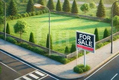 Oportunitate investitie! Teren ideal pentru casa in Faget - 1