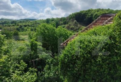 Casa de vanzare Voinesti - 3