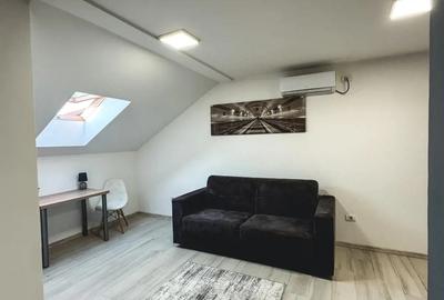 Ofer spre inchiriere STUDIO Modern si Primitor - 1