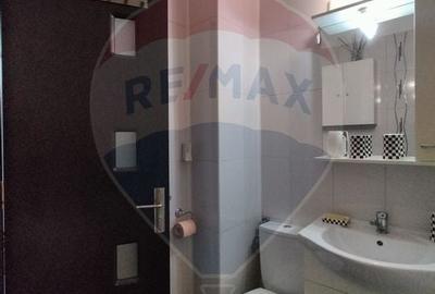 Apartament cu 1 camere decomandat, mobilat în 1 Decembrie 1918 - 7