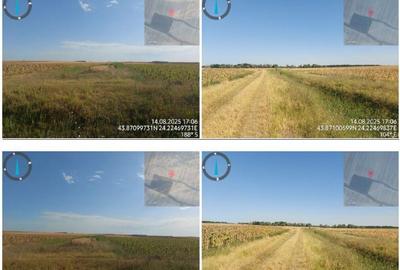 Cota de 1/4 din teren loc. Amarastii de Jos, Jud Dolj - 9