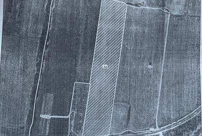 Teren extravilan 4,5 hectare cu deschidere de 108 m la DN226 - 5