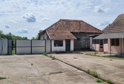 Casă 6 camere, livadă, 3 199 mp, Girisul Negru, Bihor. 42 000 E - 19