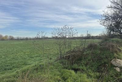 Teren de 4330 mp, în Vidra - 3