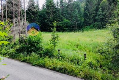 Teren Construcții intravilan de 14114 mp, în Schitu Tarcău - 9