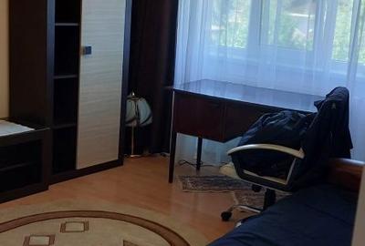 Apartament cu 2 camere decomandat în Podul de Fier - 3