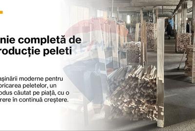Spațiu industrial, de 7,756 mp, în Cerăt - 39