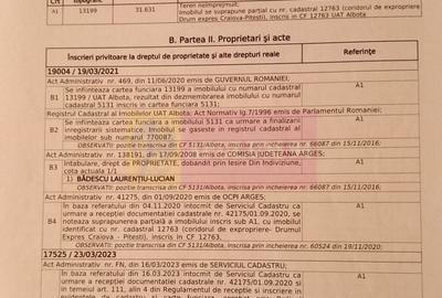 Spațiu comercial, în Bradu - 4