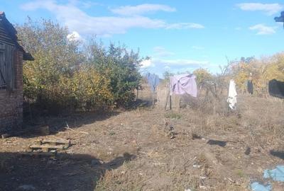Casă cu 4 camere cu Teren 1250 Mp în Cenad - 2