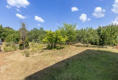 Balotești, 5 Camere, 200 mp utili, 1250 mp, într-o locație rară - 30