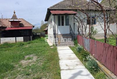 Casă cu 3 camere cu Teren 3000 Mp în Central - 5