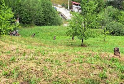 Teren de 4500 mp, în Moroeni
