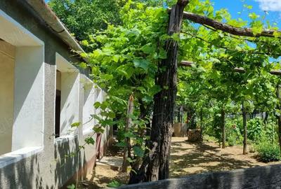 Casă cu 2 camere în Voivozi (Șimian) - 5