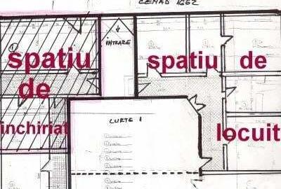 Casă cu 8 camere cu Teren 1250 Mp în Cenad - 3