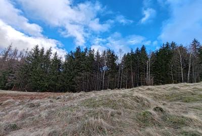 19,5 Ha  TEREN PEISAJ PANORAMIC SPECTACULOS zona turistica montana BULZ -  BIHOR - 57
