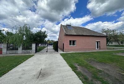 Casă cu Teren 924 Mp în Becicherecu Mic - 5