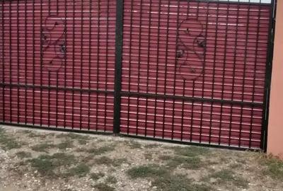 Casă cu 5 camere cu Teren 2550 Mp în Munteni - 6