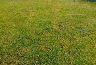 Spațiu comercial, în Central - 4