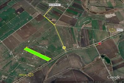 4,5 ha teren arabil Pecica - 2