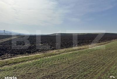 Teren de 15000 mp, în Sântuhalm - 3