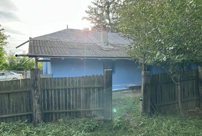 Casă cu 3 camere în Mânăstireni - 7