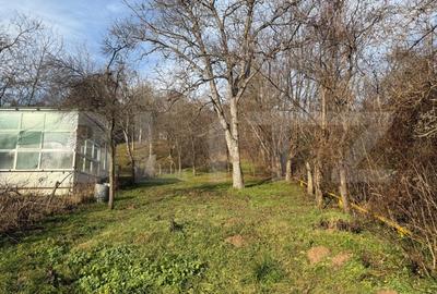 Casa Individuala cu 1.723 mp Teren si Livada, Zona Grigorescu - 2