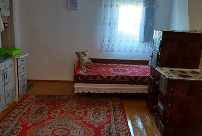 Casă cu 2 camere cu Teren 3150 Mp în Șanovița - 4