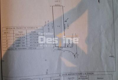 Spațiu comercial, în Dăești - 11