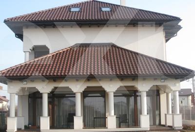 Mogosoaia - de vanzare - vila in stil Brancovenesc - 2